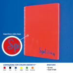 QUADERNO SPIRALATO 5MM A4 SPILBLOK4 DOTTED 80 FF - immagine 2