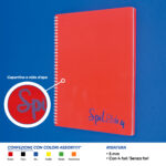 QUADERNO SPIRALATO 5MM A4 SPILBLOK4 DOTTED 80 FF